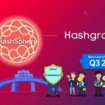 Hashgraph HashSphere Unveiled: Private Blockchain Powerhouse for Enterprises